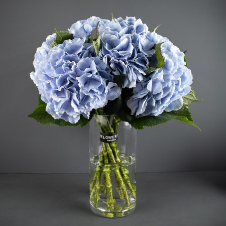 blue-hydrangea-haze